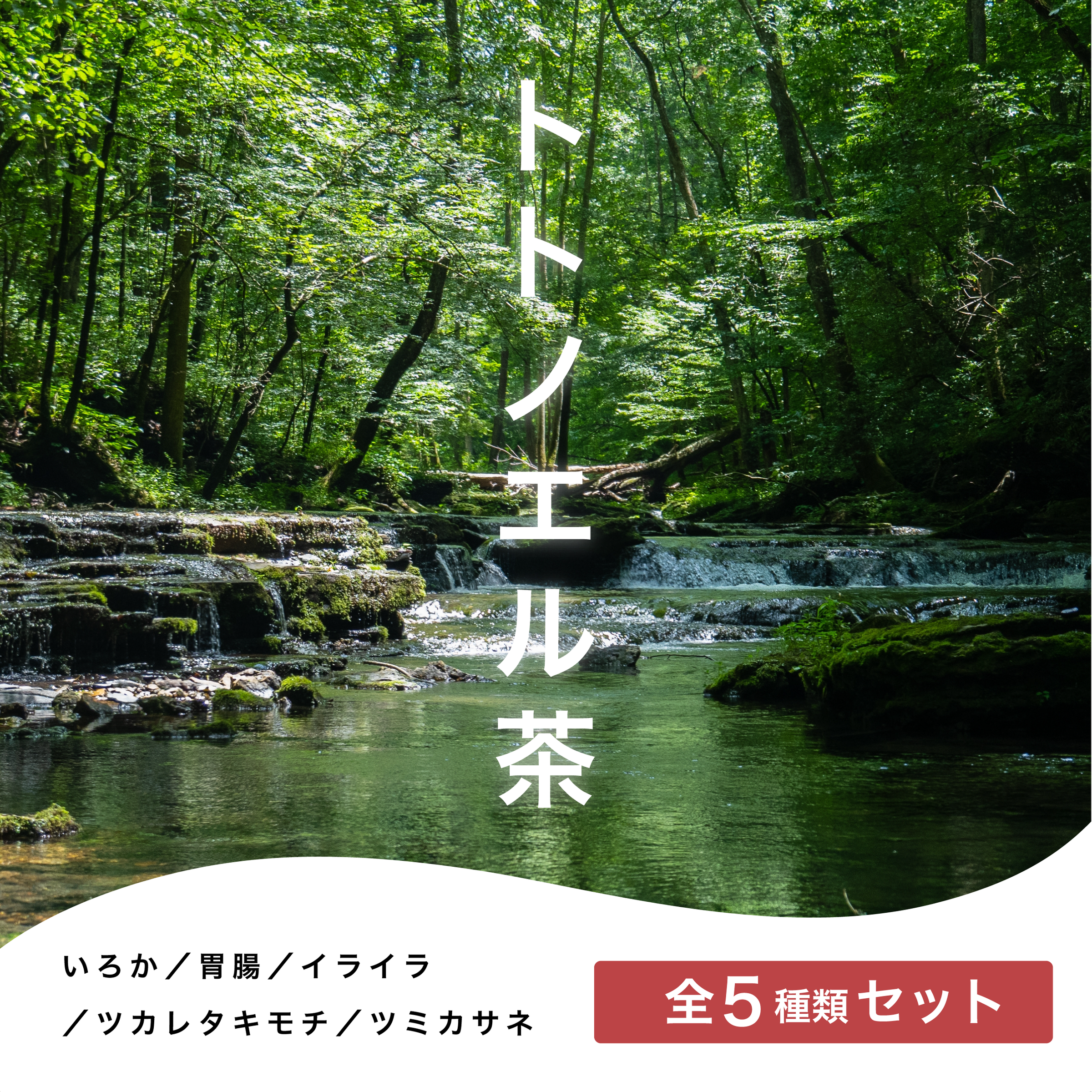 トトノエル茶シリーズ | 養生laboratoryキジバト オンラインショップ